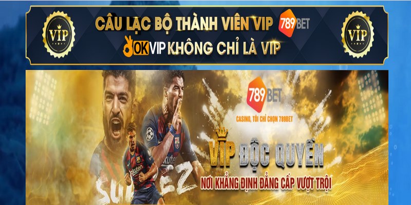 Khuyến Mãi Thành Viên Vip – Cơ Hội Cho Khách Hàng Gắn Bó 